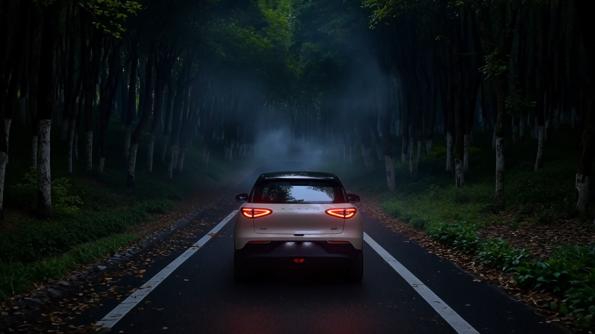 吉利广告趣味广告