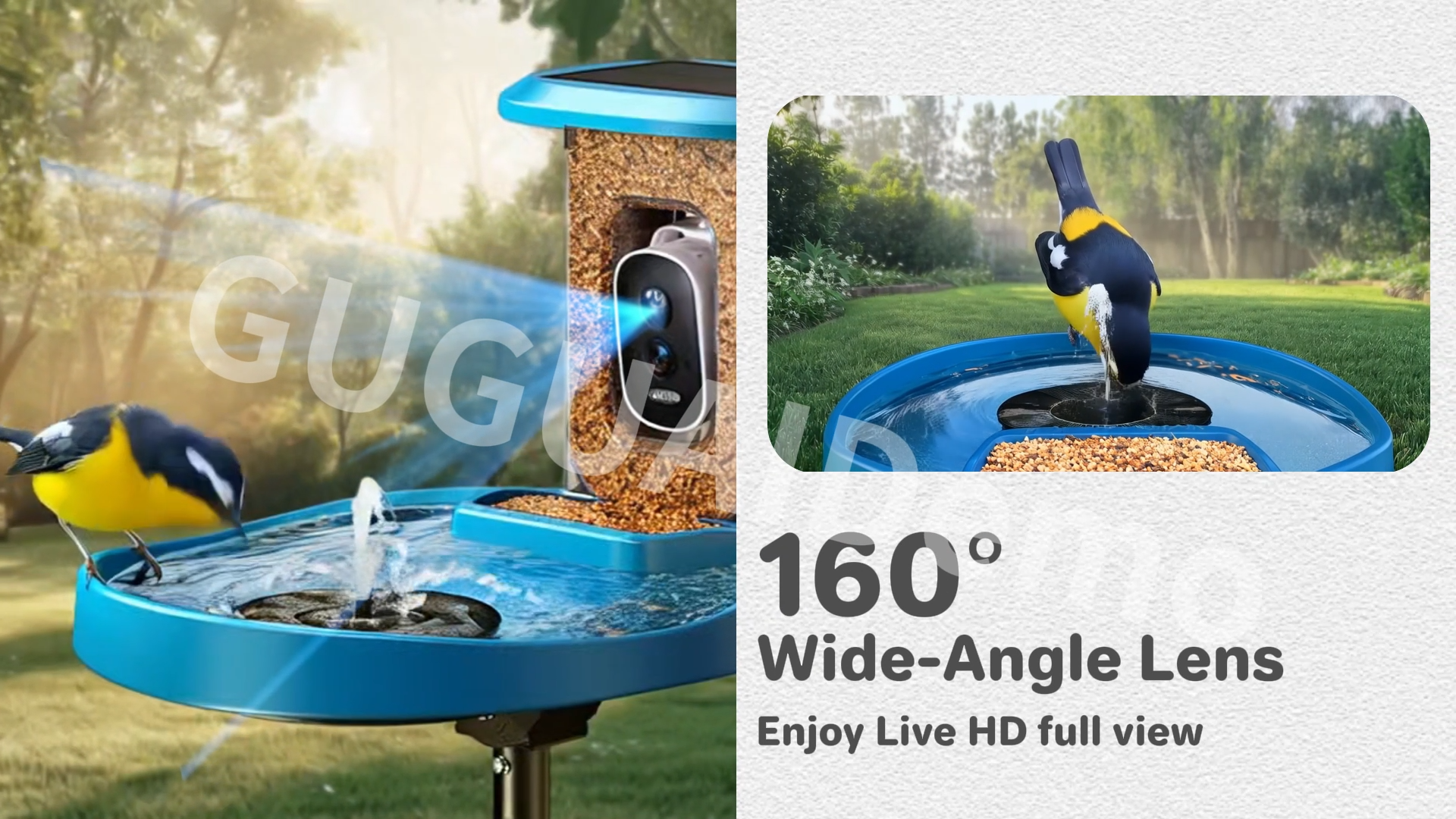 海外鸟浴盆品宣